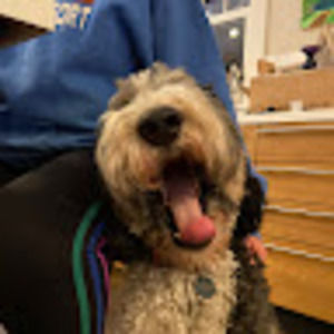 Meet your Posher, Jamison